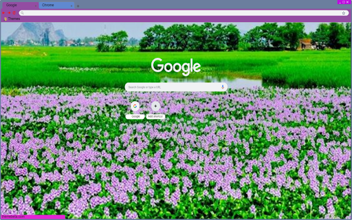 Water hyacinth in the countryside from Chrome web store to be run with OffiDocs Chromium online Water hyacinth in the countryside from Chrome web store to be run with OffiDocs Chromium online