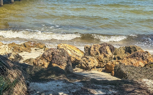 Waves and rocks and dry grass from Chrome web store to be run with OffiDocs Chromium online Waves and rocks and dry grass from Chrome web store to be run with OffiDocs Chromium online