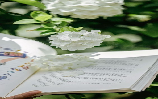 White hydrangea wallpaper from Chrome web store to be run with OffiDocs Chromium online White hydrangea wallpaper from Chrome web store to be run with OffiDocs Chromium online