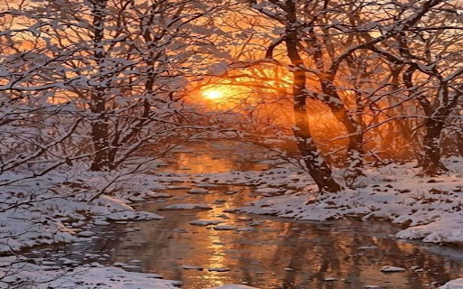 Winter wallpaper features a stream flowing through a snow covered forest from Chrome web store to be run with OffiDocs Chromium online Winter wallpaper features a stream flowing through a snow covered forest from Chrome web store to be run with OffiDocs Chromium online