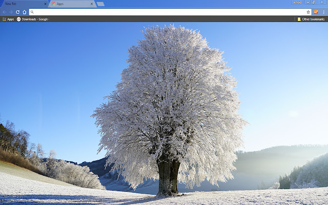Wintry from Chrome web store to be run with OffiDocs Chromium online Wintry from Chrome web store to be run with OffiDocs Chromium online