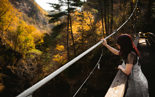 Woman gazing from bridge amidst autumn forest from Chrome web store to be run with OffiDocs Chromium online Woman gazing from bridge amidst autumn forest from Chrome web store to be run with OffiDocs Chromium online