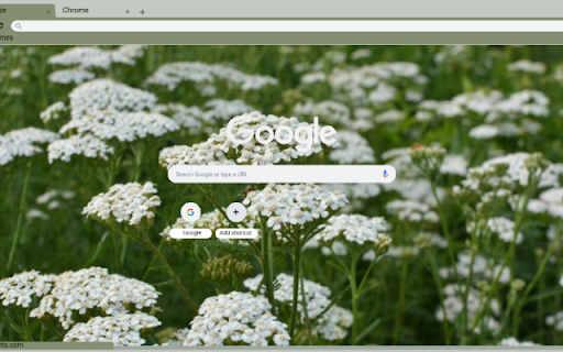 Yarrow from Chrome web store to be run with OffiDocs Chromium online Yarrow from Chrome web store to be run with OffiDocs Chromium online
