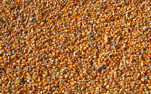 Yellow corn kernels from Chrome web store to be run with OffiDocs Chromium online Yellow corn kernels from Chrome web store to be run with OffiDocs Chromium online