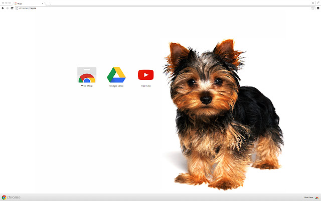 Yorkshire Terrier Theme from Chrome web store to be run with OffiDocs Chromium online Yorkshire Terrier Theme from Chrome web store to be run with OffiDocs Chromium online