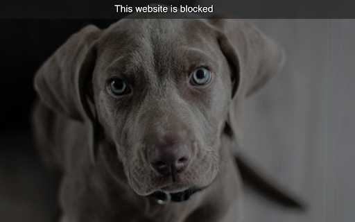 Zen mode Block distraction from Chrome web store to be run with OffiDocs Chromium online Zen mode Block distraction from Chrome web store to be run with OffiDocs Chromium online
