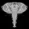 Elephant Animal Wildlife