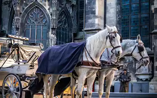 A Horse Drawn Carriage outside St. Stephens Cathedral from Chrome web store to be run with OffiDocs Chromium online A Horse Drawn Carriage outside St. Stephens Cathedral from Chrome web store to be run with OffiDocs Chromium online