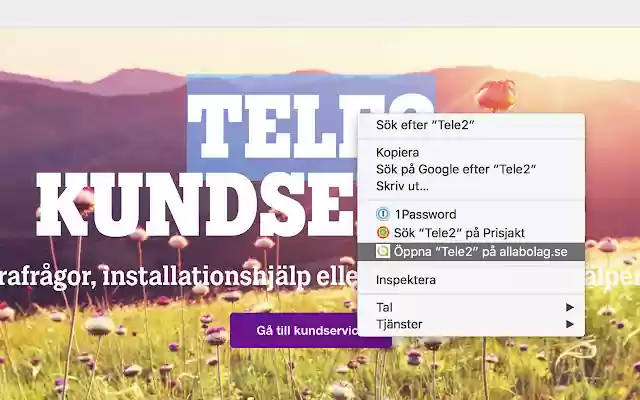 Alla Bolag Chrome from Chrome web store to be run with OffiDocs Chromium online Alla Bolag Chrome from Chrome web store to be run with OffiDocs Chromium online