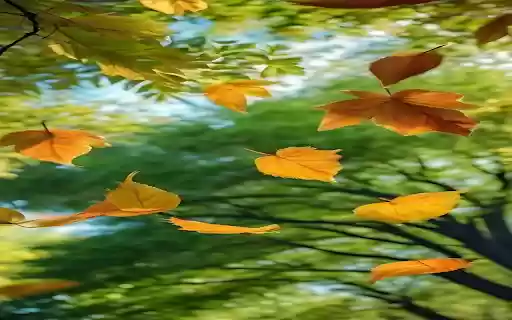 Autumn scene wallpaper from Chrome web store to be run with OffiDocs Chromium online Autumn scene wallpaper from Chrome web store to be run with OffiDocs Chromium online