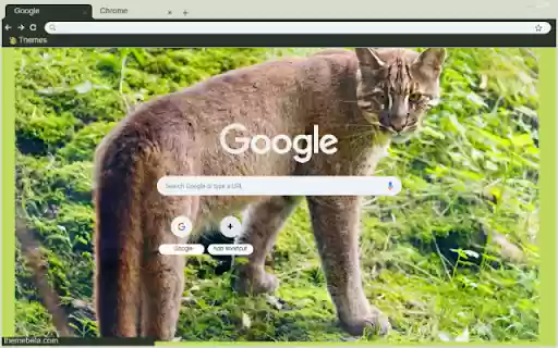 Bao lua from Chrome web store to be run with OffiDocs Chromium online Bao lua from Chrome web store to be run with OffiDocs Chromium online