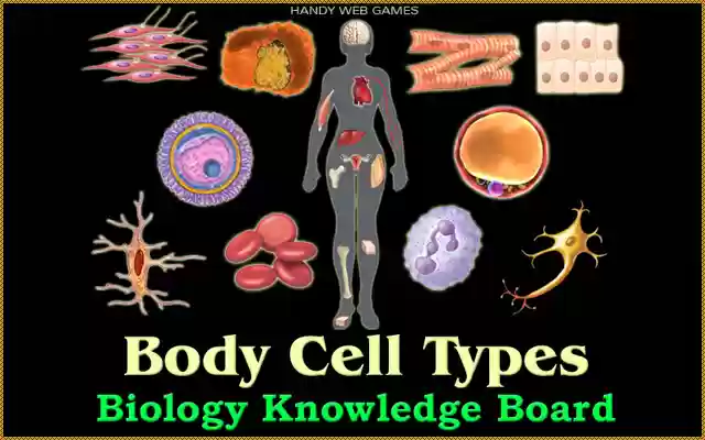 Body Cell Types from Chrome web store to be run with OffiDocs Chromium online Body Cell Types from Chrome web store to be run with OffiDocs Chromium online