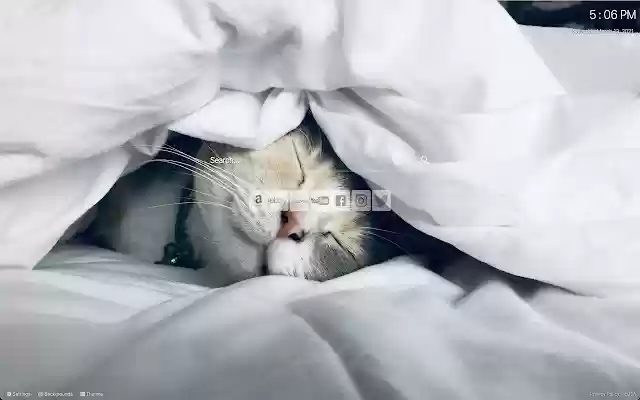 Cat Wallpaper Custom New Tab from Chrome web store to be run with OffiDocs Chromium online Cat Wallpaper Custom New Tab from Chrome web store to be run with OffiDocs Chromium online