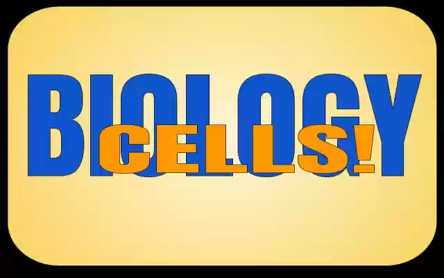 CHS Biology Semester Final from Chrome web store to be run with OffiDocs Chromium online CHS Biology Semester Final from Chrome web store to be run with OffiDocs Chromium online
