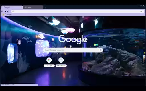 Coex Aquarium from Chrome web store to be run with OffiDocs Chromium online Coex Aquarium from Chrome web store to be run with OffiDocs Chromium online