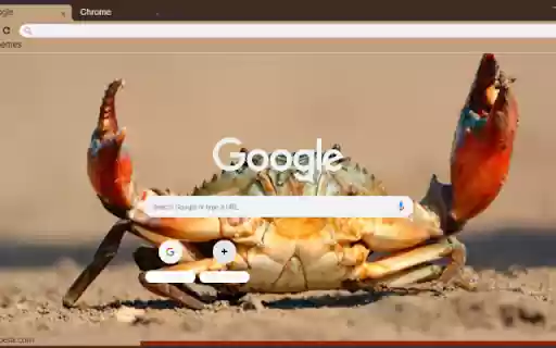 Cua from Chrome web store to be run with OffiDocs Chromium online Cua from Chrome web store to be run with OffiDocs Chromium online