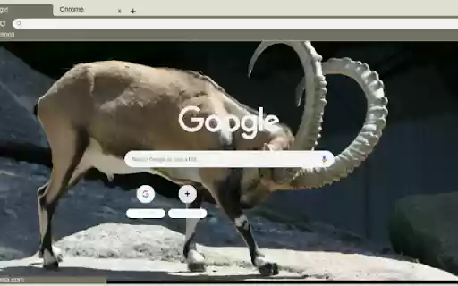 De nui from Chrome web store to be run with OffiDocs Chromium online De nui from Chrome web store to be run with OffiDocs Chromium online
