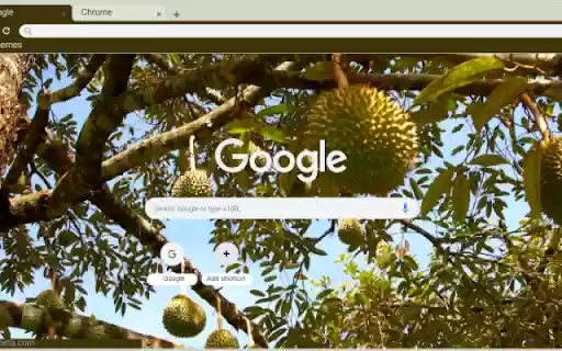 Durian Tree from Chrome web store to be run with OffiDocs Chromium online Durian Tree from Chrome web store to be run with OffiDocs Chromium online