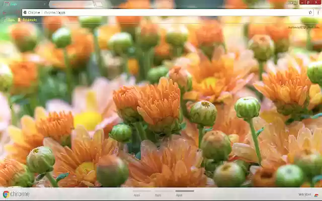 Earth Flower from Chrome web store to be run with OffiDocs Chromium online Earth Flower from Chrome web store to be run with OffiDocs Chromium online