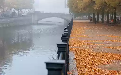 Falling leaves by the river from Chrome web store to be run with OffiDocs Chromium online Falling leaves by the river from Chrome web store to be run with OffiDocs Chromium online