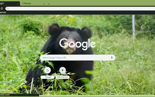 Gau ngua from Chrome web store to be run with OffiDocs Chromium online Gau ngua from Chrome web store to be run with OffiDocs Chromium online