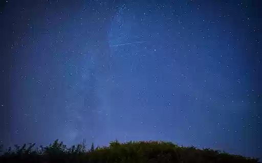 Green Trees Under the Blue Sky during Night Time from Chrome web store to be run with OffiDocs Chromium online Green Trees Under the Blue Sky during Night Time from Chrome web store to be run with OffiDocs Chromium online
