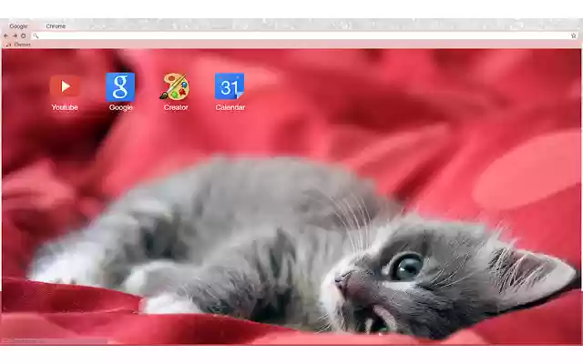 Holiday Kitten 1920x1080 from Chrome web store to be run with OffiDocs Chromium online Holiday Kitten 1920x1080 from Chrome web store to be run with OffiDocs Chromium online