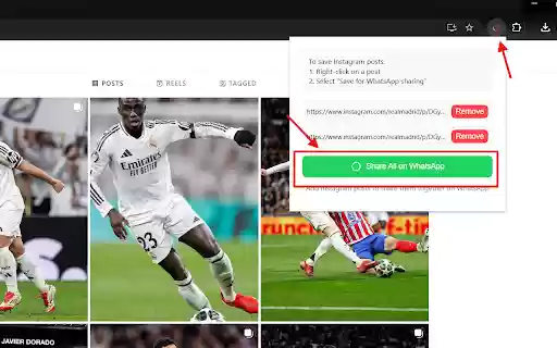 Instazap from Chrome web store to be run with OffiDocs Chromium online Instazap from Chrome web store to be run with OffiDocs Chromium online