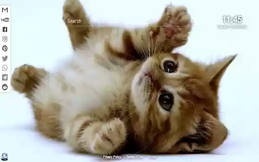 Kittens Cats Wallpapers from Chrome web store to be run with OffiDocs Chromium online Kittens Cats Wallpapers from Chrome web store to be run with OffiDocs Chromium online