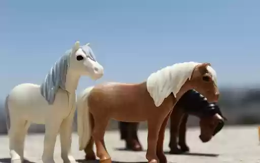 Lovely horses from Chrome web store to be run with OffiDocs Chromium online Lovely horses from Chrome web store to be run with OffiDocs Chromium online