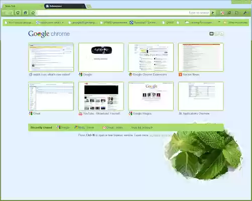 Minty Theme from Chrome web store to be run with OffiDocs Chromium online Minty Theme from Chrome web store to be run with OffiDocs Chromium online