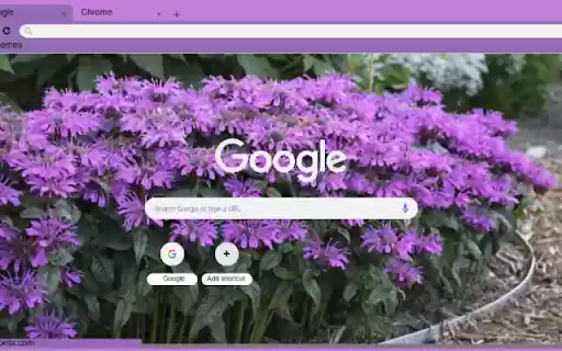 Monarda from Chrome web store to be run with OffiDocs Chromium online Monarda from Chrome web store to be run with OffiDocs Chromium online