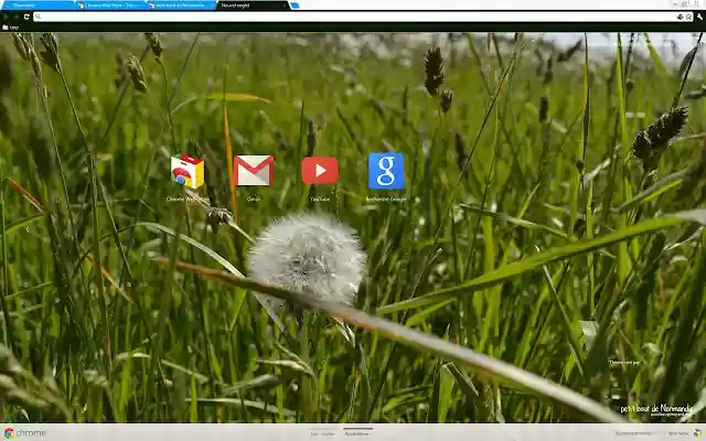 Normandie Ground peace from Chrome web store to be run with OffiDocs Chromium online Normandie Ground peace from Chrome web store to be run with OffiDocs Chromium online