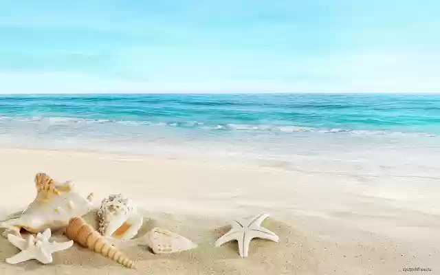 Ocean Beach from Chrome web store to be run with OffiDocs Chromium online Ocean Beach from Chrome web store to be run with OffiDocs Chromium online