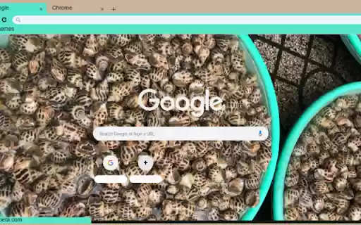 Oc Huong from Chrome web store to be run with OffiDocs Chromium online Oc Huong from Chrome web store to be run with OffiDocs Chromium online