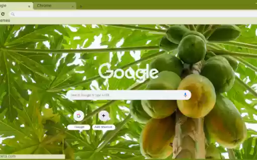 Papaya Tree from Chrome web store to be run with OffiDocs Chromium online Papaya Tree from Chrome web store to be run with OffiDocs Chromium online