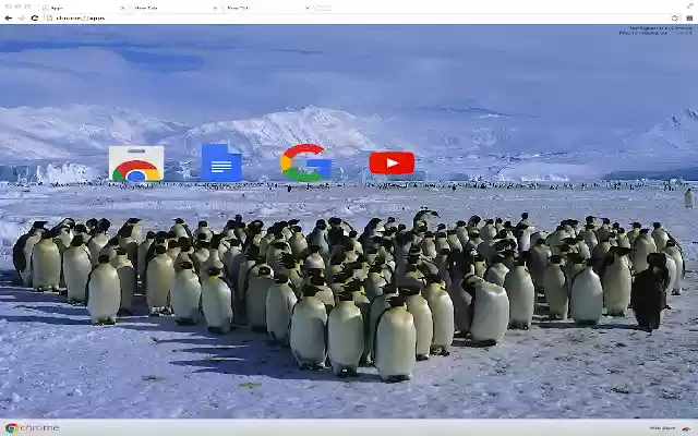 Penguins Theme from Chrome web store to be run with OffiDocs Chromium online Penguins Theme from Chrome web store to be run with OffiDocs Chromium online