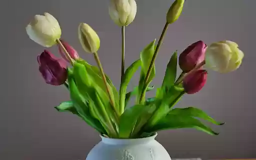 Plastic tulips from Chrome web store to be run with OffiDocs Chromium online Plastic tulips from Chrome web store to be run with OffiDocs Chromium online