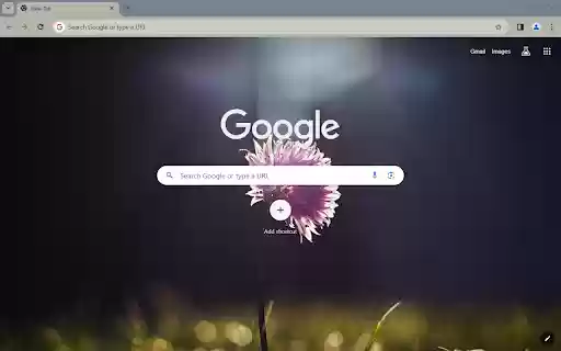 PurplePetaled Browser Theme from Chrome web store to be run with OffiDocs Chromium online PurplePetaled Browser Theme from Chrome web store to be run with OffiDocs Chromium online