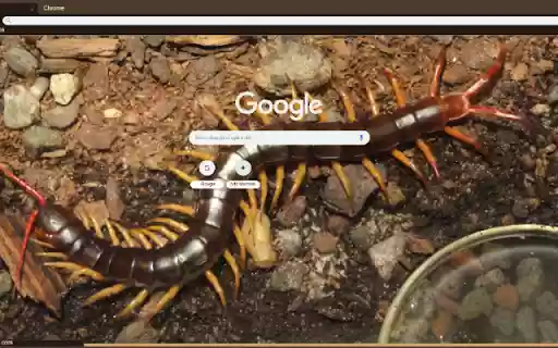 Ret from Chrome web store to be run with OffiDocs Chromium online Ret from Chrome web store to be run with OffiDocs Chromium online