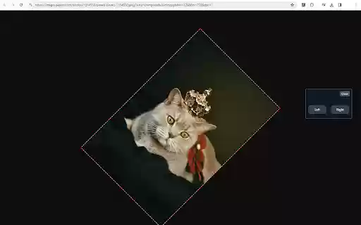 Rotato Rotate Images in Chrome from Chrome web store to be run with OffiDocs Chromium online Rotato Rotate Images in Chrome from Chrome web store to be run with OffiDocs Chromium online