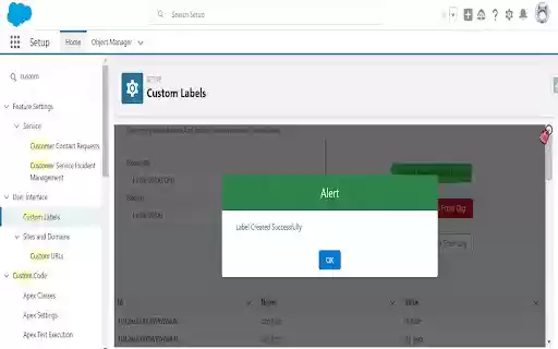 Salesforce Custom Label Manager from Chrome web store to be run with OffiDocs Chromium online Salesforce Custom Label Manager from Chrome web store to be run with OffiDocs Chromium online
