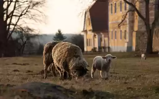 Sheep mother from Chrome web store to be run with OffiDocs Chromium online Sheep mother from Chrome web store to be run with OffiDocs Chromium online