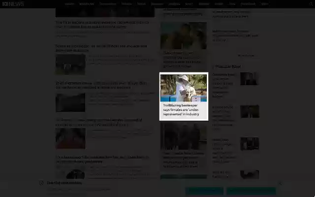 Show Pony from Chrome web store to be run with OffiDocs Chromium online Show Pony from Chrome web store to be run with OffiDocs Chromium online