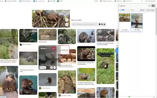 SnipSnap The ultimate selection tool from Chrome web store to be run with OffiDocs Chromium online SnipSnap The ultimate selection tool from Chrome web store to be run with OffiDocs Chromium online