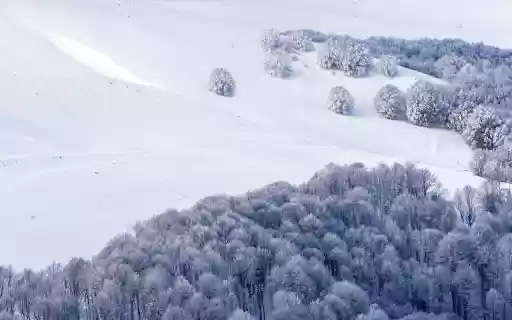 Snow falls in the woods from Chrome web store to be run with OffiDocs Chromium online Snow falls in the woods from Chrome web store to be run with OffiDocs Chromium online