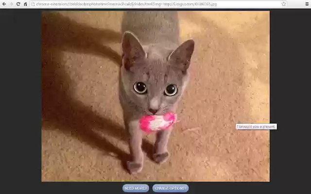 Subreddit Dose from Chrome web store to be run with OffiDocs Chromium online Subreddit Dose from Chrome web store to be run with OffiDocs Chromium online