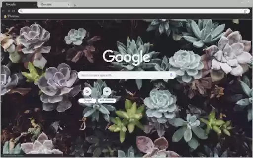 Succulent Jungle from Chrome web store to be run with OffiDocs Chromium online Succulent Jungle from Chrome web store to be run with OffiDocs Chromium online