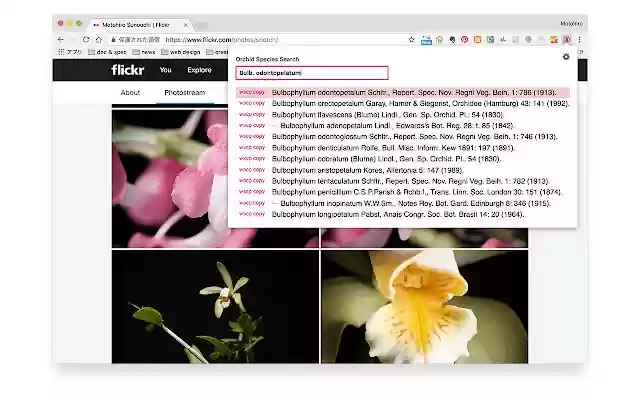 Swift Orchidist from Chrome web store to be run with OffiDocs Chromium online Swift Orchidist from Chrome web store to be run with OffiDocs Chromium online