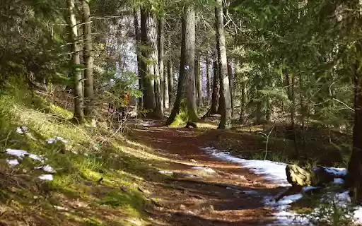 The sun isshining and the snow is melting from Chrome web store to be run with OffiDocs Chromium online The sun isshining and the snow is melting from Chrome web store to be run with OffiDocs Chromium online